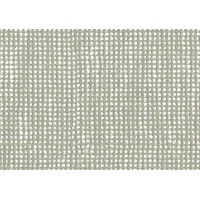 19107 140 Slow Spirea